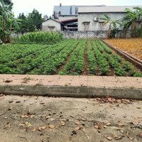 Đất Phân Lô - Ngõ Thông Ô Tô Vào Tận Đất - Ba Bước Chân Ra Đường Đho9, Hòa Trúc Hòa Thạch Quốc Oai