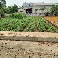 Đất Phân Lô - Ngõ Thông Ô Tô Vào Tận Đất - Ba Bước Chân Ra Đường Đho9, Hòa Trúc Hòa Thạch Quốc Oai