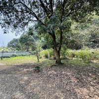 Bán Đất 448M Cao Dương, Lưng Tựa Núi, Cách Đường Hcm 200M, Mặt Tiền 26M, Sổ Sẵn, Chỉ Nhỉnh 1 Tỷ