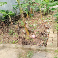 Đất Đẹp Kim An Thanh Oai.gần Trục Kinh Tế Kim An Đỗ Động.