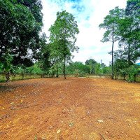 Can Chuyển Nhượng 720M Trong Đó Có 162M Thổ Cư Tại Vân Hoà