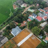 Đất Nền Đẹp Xuất Sắc Tại Đường 421B, Xã Đông Yên, Quốc Oai, Hà Nội, Giá Thỏa Thuận, 155M2