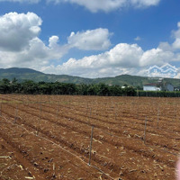 Siêu Phẩm 1024M2 Đất Xã Liên Hiệp, Tỉnh Lâm Đồng,Diện Tích13X78M, Có 100M2 Tc, Đường 5M Giá Chỉ 3.2 Tỷ