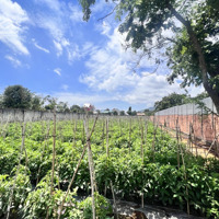 Bán 2000M2 Đất Trung Tâm Khu Bàn Cờ Xã Liên Hiệp,Diện Tích20X100M Có 400M2 Thổ Cư Giá Bán 9.5 Tỷ