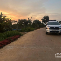 Bán 1000M2 Đất Khu Bàn Cờ Xã Liên Hiệp,Diện Tích10X100M, Có 100M2 Thổ Cư, Giá Bán 3.6 Tỷ