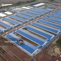 Cần Chuyển Nhượng 1 Số Trại Heo Pháp Lý Đầy Đủ . Xây Dựng Ngay Giá Tốt
