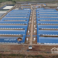 Cần Chuyển Nhượng 1 Số Trại Heo Pháp Lý Đầy Đủ . Xây Dựng Ngay Giá Tốt