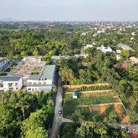 Bán Nhanh Lô Đất 720M2 Phú Cát; Giá Rẻ Bèo