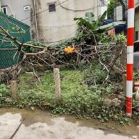 Bán Gấp 60m2 Đất Phân Lô Đường Hoàng Tăng Bí, Thụy Phương, Bắc Từ Liêm, Nhỉnh 8 tỷ
