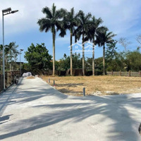 Đất Tây Trì Nhơn Gần Chợ Mai Phú Thượng- Giá Chỉ Từ 1 Tỷ4Xx