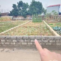 Bán Gấp Nhanh Mảnh Đất Full Thổ Cư Đường Thông Giá Rẻ Tại Huyện Thạch Thất