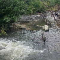 Cần Bán 47 Ha (470 000) M2 Đất Rẫy (Rsx, Cln) Có Suối Lớn Tuyệt Đẹp Ninh Tây, Ninh Hoà, Khánh Hoà