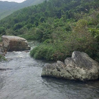 Cần Bán 47 Ha (470 000) M2 Đất Rẫy (Rsx, Cln) Có Suối Lớn Tuyệt Đẹp Ninh Tây, Ninh Hoà, Khánh Hoà