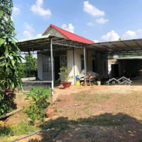 Cần Bán Đất Có Vườn Trái Cây, Nhà Cấp 4 Sẵn Ngay Tân Uyên, Bình Dương. Giá Bán 2Ty250, 600M2. Shr