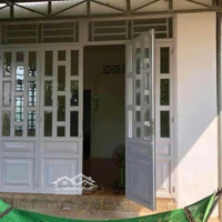 Cần Bán Đất Có Vườn Trái Cây, Nhà Cấp 4 Sẵn Ngay Tân Uyên, Bình Dương. Giá Bán 2Ty250, 600M2. Shr