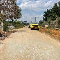 Đất Nền Giá Rẻ , Sẵn Vườn Cây Ăn Trái Nằm Trong Khu Dân Cư
