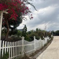 Đất Nền Giá Rẻ , Sẵn Vườn Cây Ăn Trái Nằm Trong Khu Dân Cư