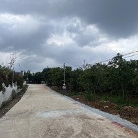 Đất Nền Giá Rẻ , Sẵn Vườn Cây Ăn Trái Nằm Trong Khu Dân Cư