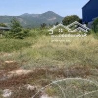 Bán Đất 2100M2(200M2 Thổ Cư), 9 Tỷ Mặt Tiền Đường 1, Xã Suối Tân, Cam Lâm, Khánh Hòa
