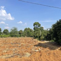 Chính Chủ Cần Bán Gấp Lô Đất Vườn Siêu Phẩm Chỉ 285 Triệu Tại Định Quán
