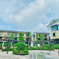 Cơ Hội Vàng Đầu Tư Căn Biệt Thự 130,7M Xây 3,5 Tầng Tại Dự Án Bellhomes Hải Phòng