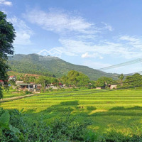 Một View Đẹp Sót Lại Tại Lương Sơn Đất View Cánh Đồngdiện Tích1600M2 Có 200M2 Tc Cao Sơn - Lương Sơn