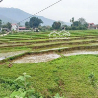 Một View Đẹp Sót Lại Tại Lương Sơn Đất View Cánh Đồngdiện Tích1600M2 Có 200M2 Tc Cao Sơn - Lương Sơn