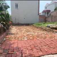 Bán Đất Đẹp Hương Đình, Mai Đình, Sóc Sơn Vị Trí Đắc Địa, Tiềm Năng Tăng Giá Cao