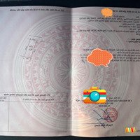 Bán Đất Đẹp Hương Đình, Mai Đình, Sóc Sơn Vị Trí Đắc Địa, Tiềm Năng Tăng Giá Cao