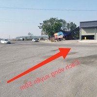 Bán Đất Đẹp Hương Đình, Mai Đình, Sóc Sơn Vị Trí Đắc Địa, Tiềm Năng Tăng Giá Cao