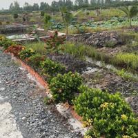 Đất Vườn Làm Sẵn Vườn Ao Cá Nền Nhà Sẵn Sàn Mua Cất Nhà Vườn Quá Đẹp Đầu Tư Bao Ngon