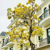 Bán Bt Tại The Empire - Vinhomes Ocean Park 2, 126,6 Triệu / M2, 120 M2 , Ô Tô Đỗ Ngay Trong Nhà