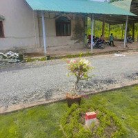 Bán Gấp Lô Đất 212M2 Tại Xã Long Tân, Dầu Tiếng, Bình Dương Chỉ 300 Triệu