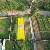 Bán Đất Chính Chủ Tái Định Cư Vai Réo