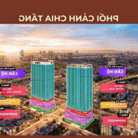 Ra Mắt Căn Hộ Biển Đà Nẵng Chỉ Từ 2,45 Tỷ. Giá Bán Trự Tiếp Từ Cđt Sun Group