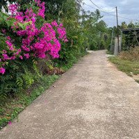 Về Suối Sao, Xuân Lộc Mua Đất Thổ Cư, Gần Ubnd Xã, Trường Học, Gần Nhựa Gia Tỵ- Suối Cao Giá Rẻ