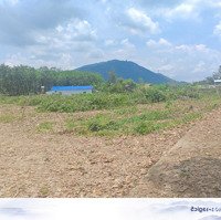 Về Suối Sao, Xuân Lộc Mua Đất Thổ Cư, Gần Ubnd Xã, Trường Học, Gần Nhựa Gia Tỵ- Suối Cao Giá Rẻ