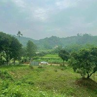 Chính Chủ Bán 1200M2 Tại Tân Vinh, Lương Sơn Có View Đẹp Giá Lại Rẻ 2,6Tỷ