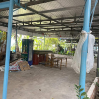 Cho Thuê Lô Đất Trung Tâm Gần Nguyễn Văn Linh 250M Ngang 8M Giá Bán 20 Tr !Cho Thuê Lâu Dài ! Phù