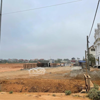 Bán 143M2 Đất Đấu Giá Cầu Lọc Tại Đường 32, Xã Ngọc Tảo, Phúc Thọ, Hà Nội.