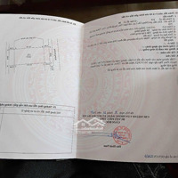 Bán 143M2 Đất Đấu Giá Cầu Lọc Tại Đường 32, Xã Ngọc Tảo, Phúc Thọ, Hà Nội.