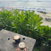 Đất Biển Hội An, Sát Biển Tân Thành Giá Rẽ .