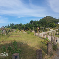 Đất Làm Farm Suối Chảy Quanh Năm