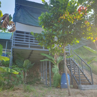 Đất Làm Farm Suối Chảy Quanh Năm