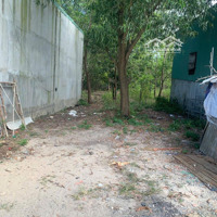 Bán Đất Ở 100M2 Ngay Tân Hiệp 1, Gần Chợ Tân Hiệp, Tiện Ích Đầy Đủ
