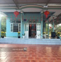 Người Nhà Bán Đất Gần Biển Giáp Sungroup Có Thổ Cư Giá 1. 3 Triệu/M