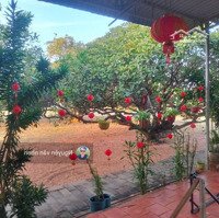 Người Nhà Bán Đất Gần Biển Giáp Sungroup Có Thổ Cư Giá 1. 3 Triệu/M
