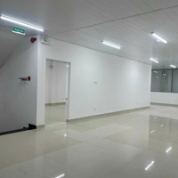 Bán Nhàmặt Tiềnngan 6M Khu Thăng Long Phường 4 Tân Bình Ngay Cửa Vào Ga T3 Chỉ 14 Tỷ Tl