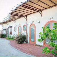 Cần Bán Homestay 4 Phòng Kinh Doanh Hàm Liêm Gần Trung Tâm Và Biển Đồi Dương - Lh Zalo 034.430.6879