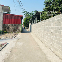 Bán Lô Đất Quỳnh Cư, Hùng Vương, Hồng Bàng 40M Giá Hơn 900 Triệu Liên Hệ: 0979087664